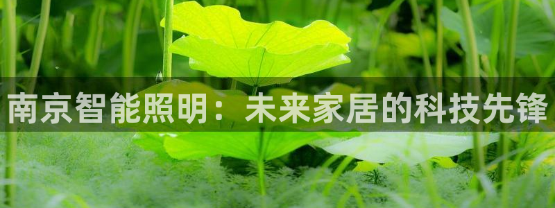 太原云顶国际老板