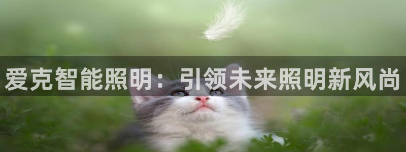 云顶国际会所