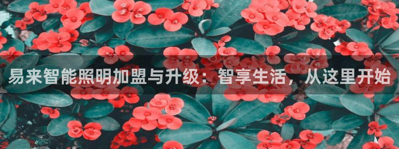 云顶集团有限公司简介