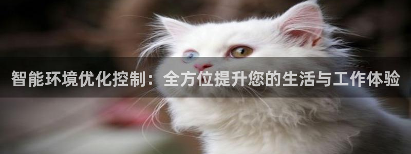 云顶集团中国公司