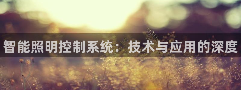 云顶国际官网官方网站：智能照明控制系统：