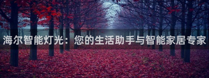 云顶国际被黑：海尔智能灯光：您的生活助手