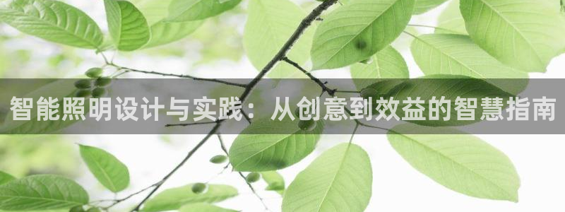 云顶国际服服务端错误