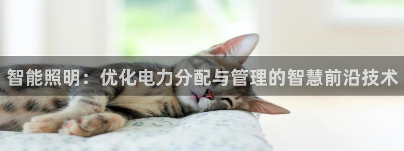 云顶国际是什么软件