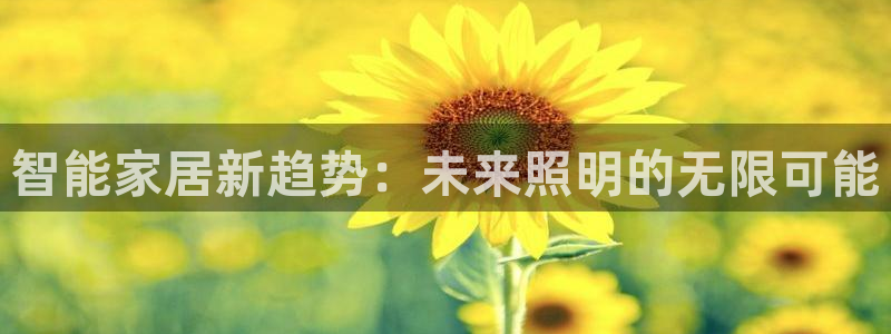 云顶国际服s9