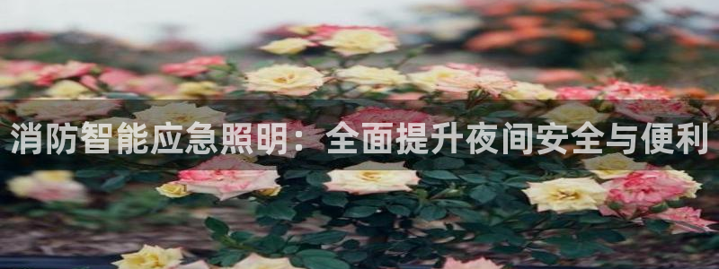 云顶国际宴会中心的凉菜