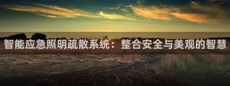 云顶集团3118app功能