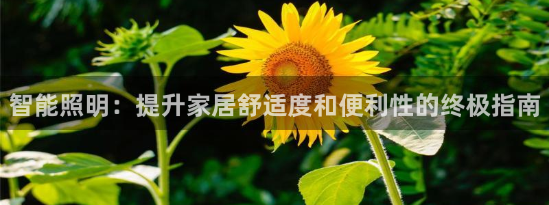 云顶集团在哪