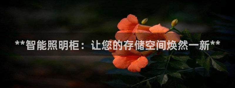 云顶国际版下载