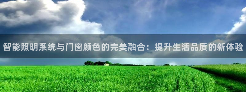 云顶国际服叫什么