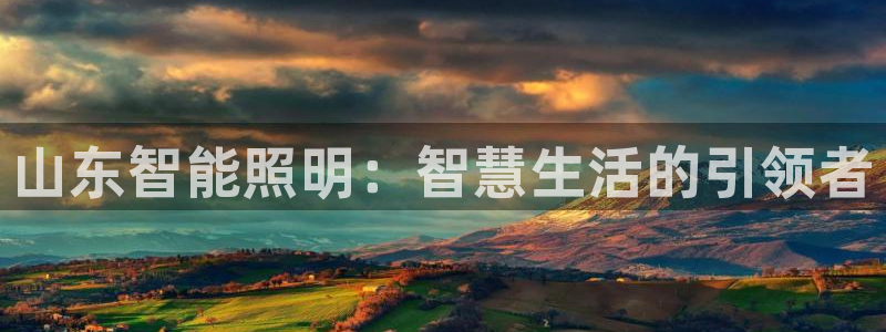 云顶国际服s9