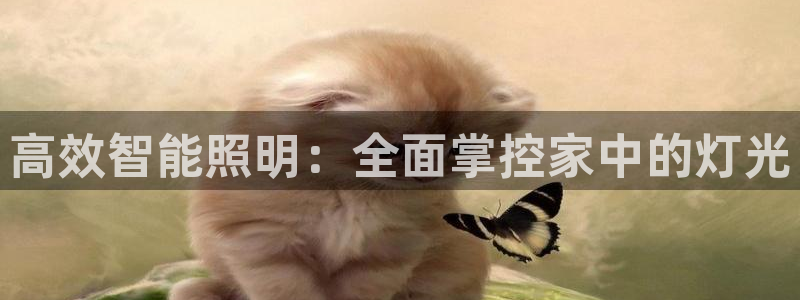 云顶28官网下载