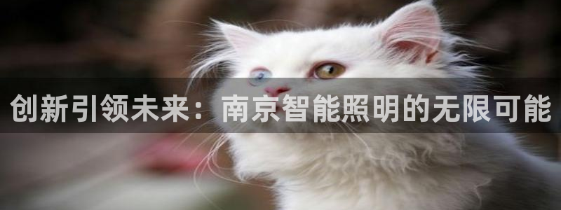 云顶国际测试服免费