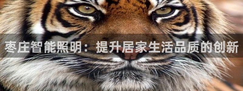 云顶国际属于哪个社区