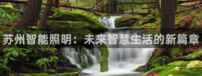 云顶国际唯一官方网站