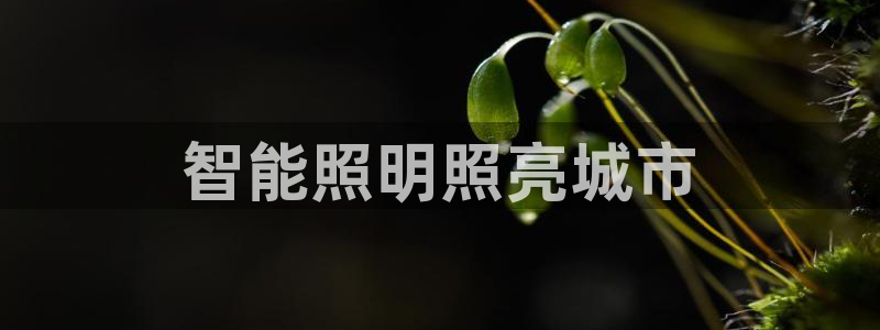 云顶国际取款取不出来