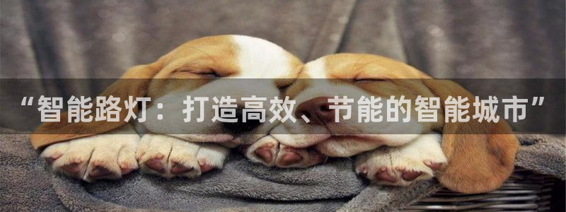 云顶国际提款不到账怎么办