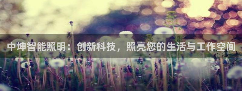 云顶国际麻将胡了多少张牌