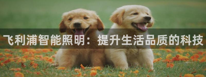 云顶国际服什么时候更新s115