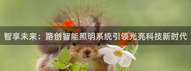 云顶国际服什么时候更新的