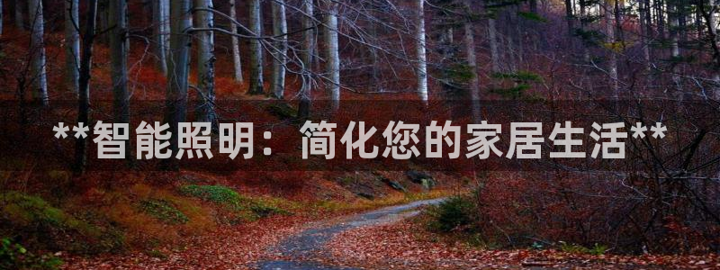 云顶国际提现不到账怎么办